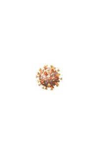 coronavirus particle