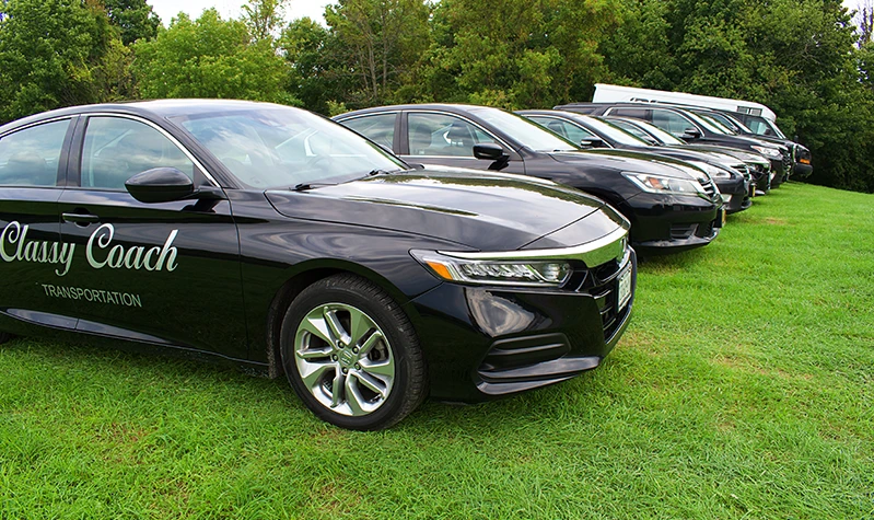 the classy coach transportation line up on a grassy knoll