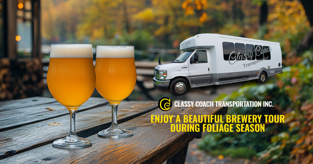 two glasses of beer on a picnic bench during fall time enjoy a beautiful brewery tour during foliage season