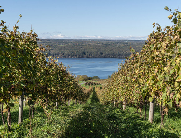 seneca lake wine trail east