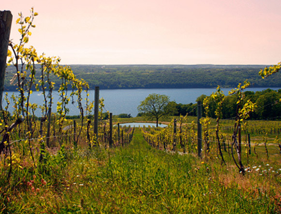 seneca lake wine trail west side