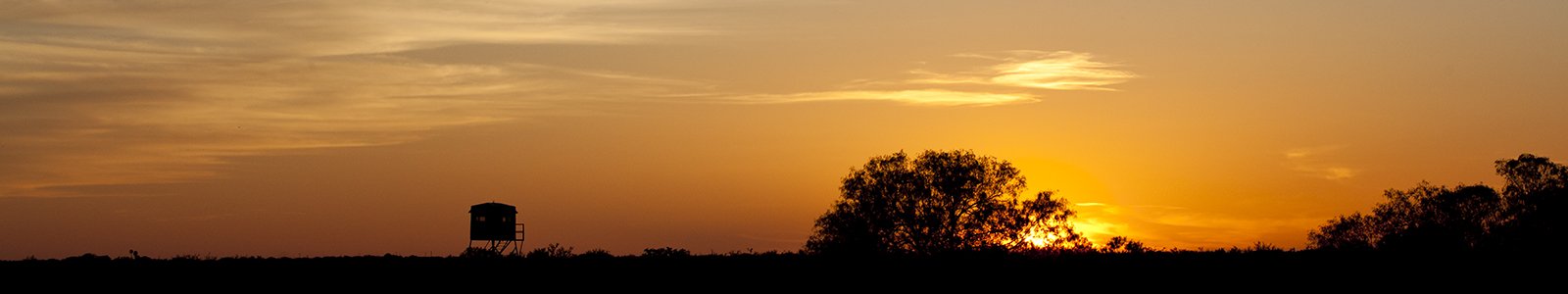 Header banner image