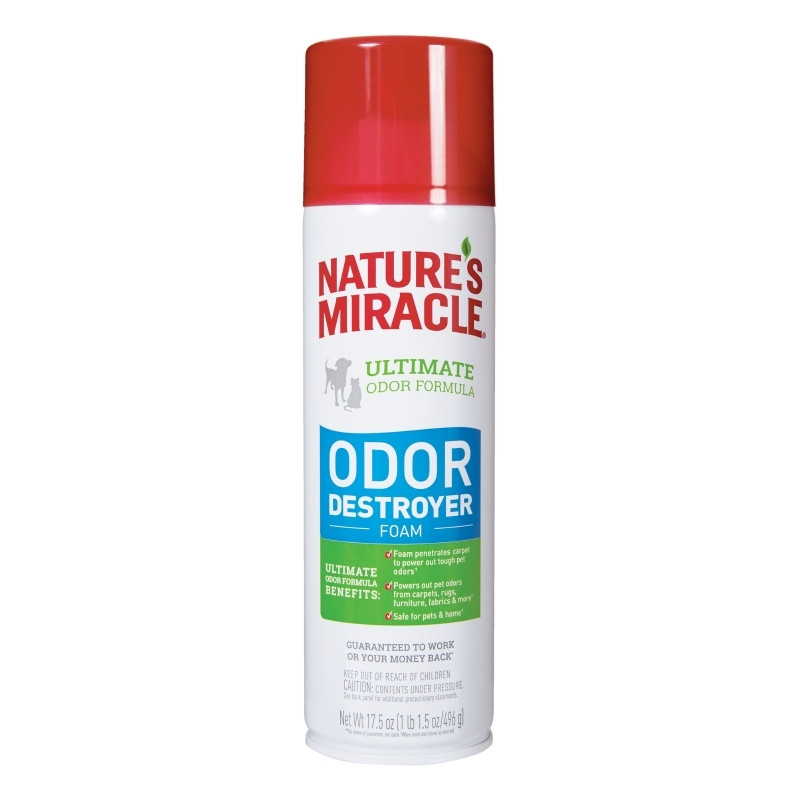 NM Odor Destroy Foam 17.5z