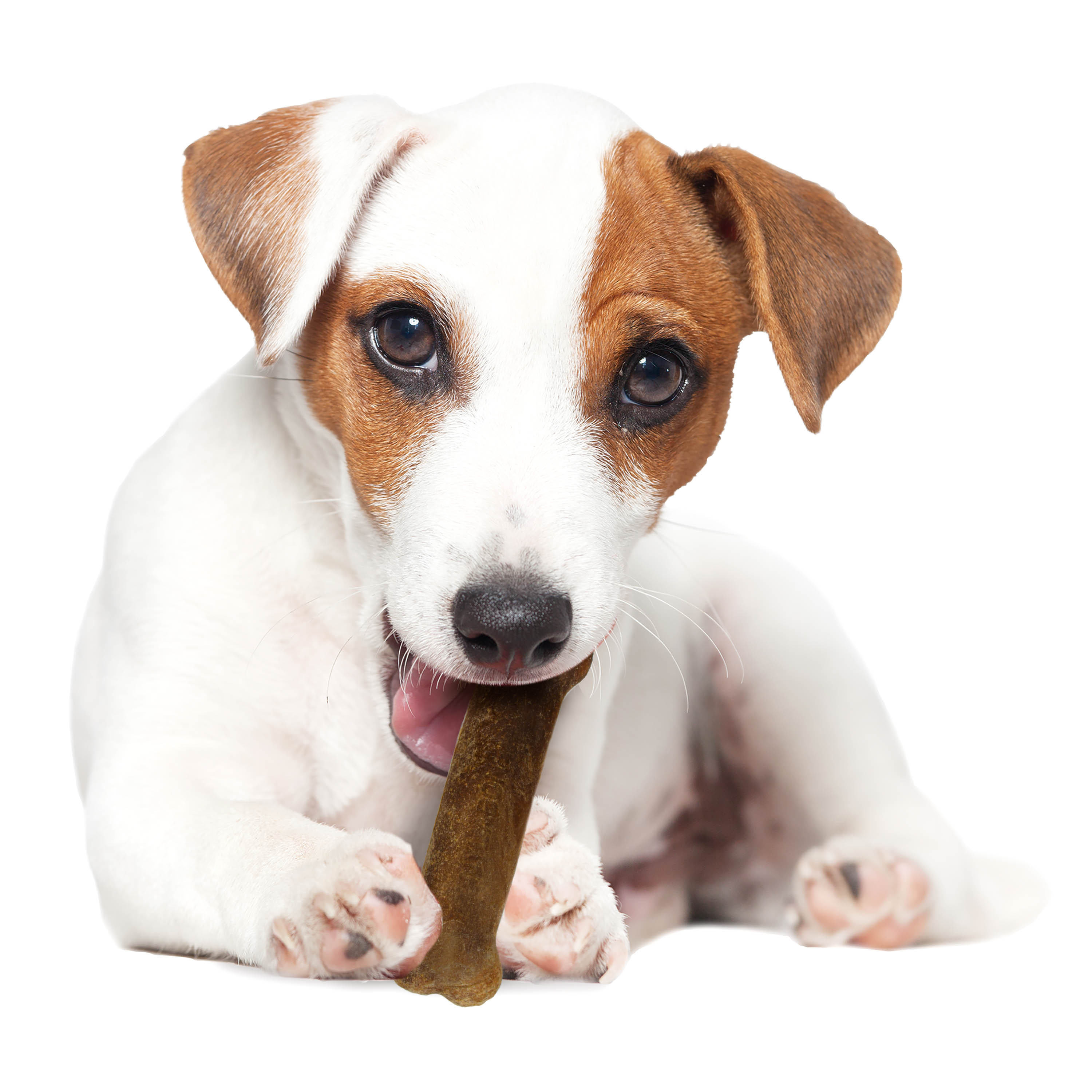 NB Healthy Edibles Roast beef2