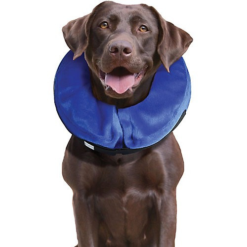 KONG Cloud Collar Sm