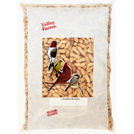 Peanuts In Shell  8 lbs