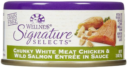 Well SS Cat Ckn/Slm 2.8oz