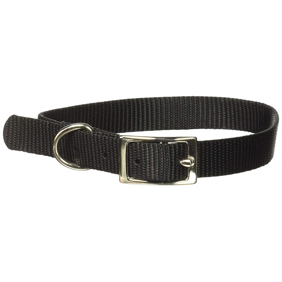 Coastal 401 16 Collar Black