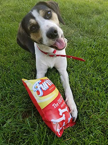 Eth Fun FD Furitos Chips