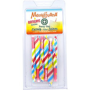 Meowi Birthjay Ctnp Joint6ct