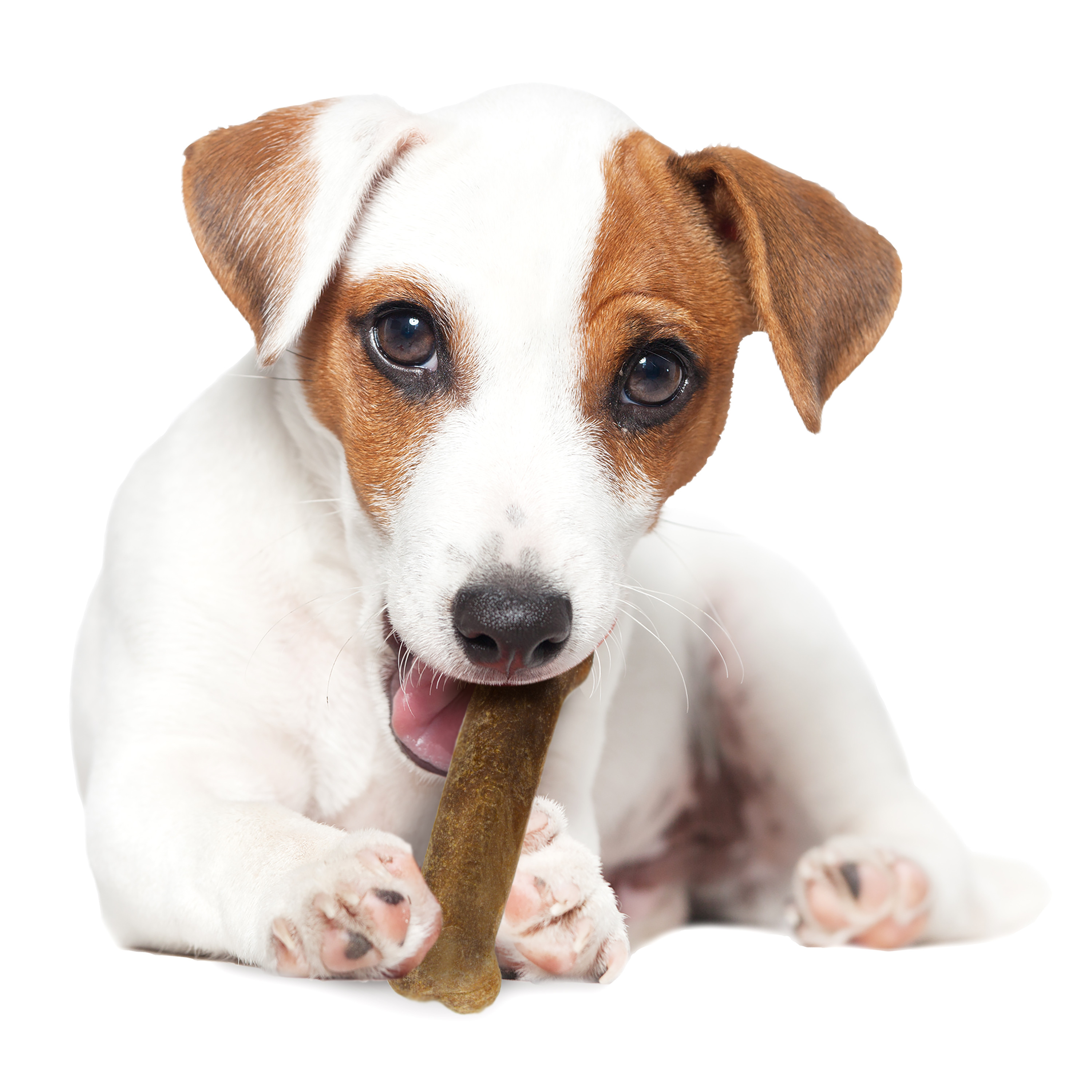 NB Healthy Edibles Roast beef3