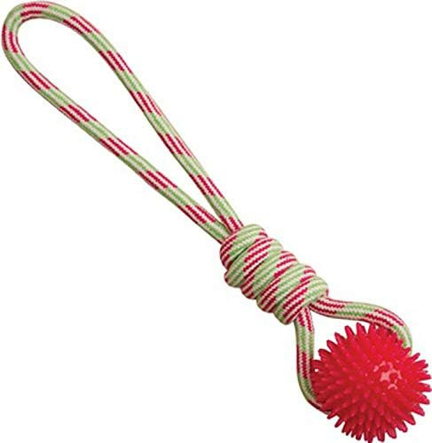 Snugarooz Spike-O-Mite