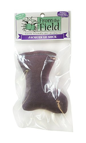 FTF Jacques the Sock