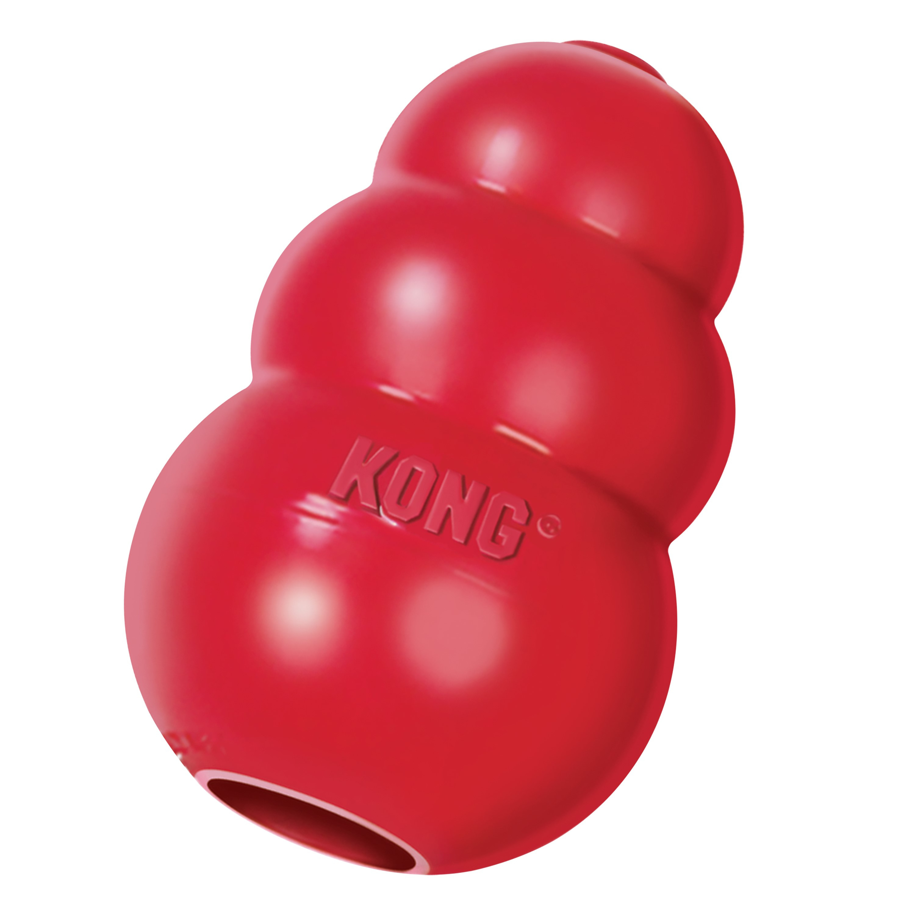 KC Small Kong
