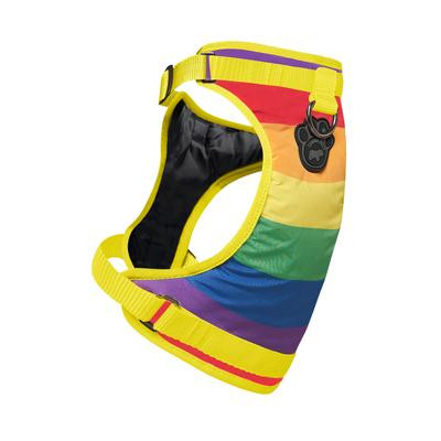 Everything Harness Rainbow Lg