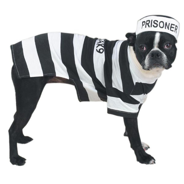 Prison Pooch Costume SM