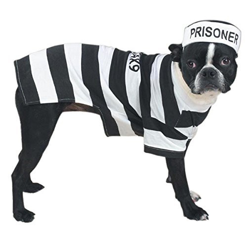 Prison Pooch Costume MD