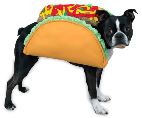CC Taco Costume Sm