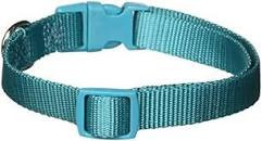 Zack and Zoey Collar 10-16 Tel