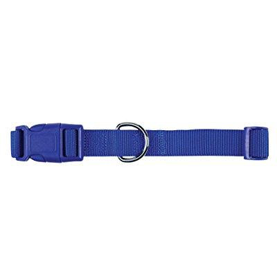Zack and Zoey Collar 10-16 Blu