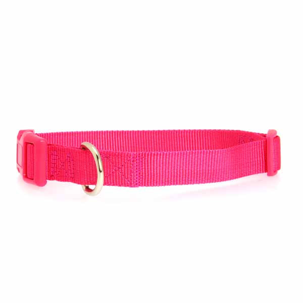 Zack and Zoey Collar 10-16 Pnk
