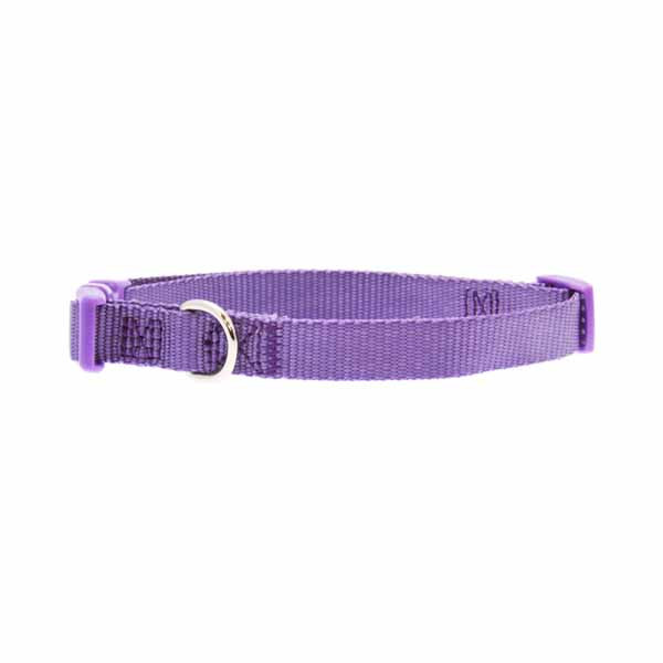 Zack and Zoey Collar 14-20 Lav