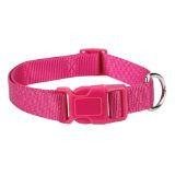 Zack and Zoey Collar 6-10 Pink