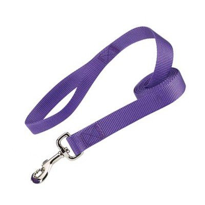 Zack and Zoey Ld 6' x 1'' Blue