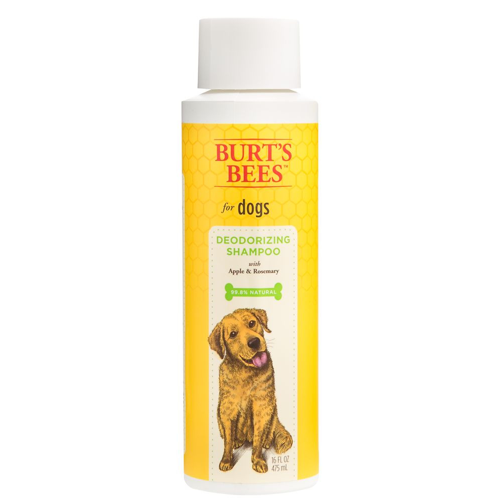 BurtsBees Deodor Shamp 16oz