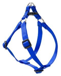 Lupine 20-30 StepIn Blue