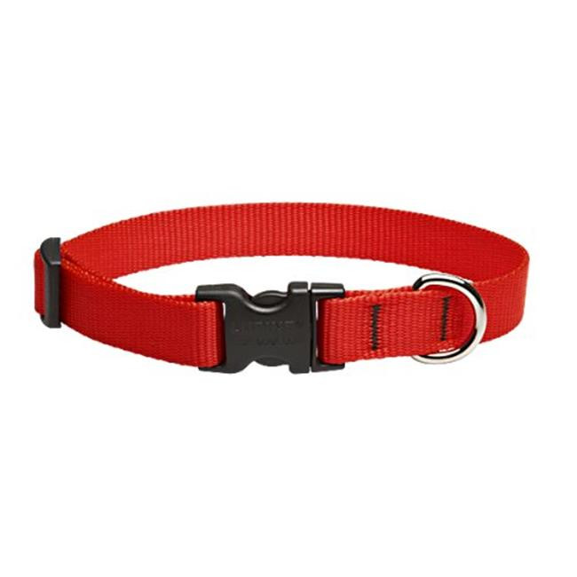 Lupine3/49-14Adj.RedCollar