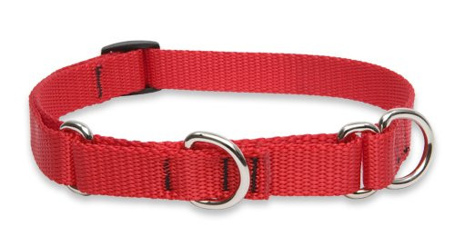 Lupine3/415-25Adj.RedCollar