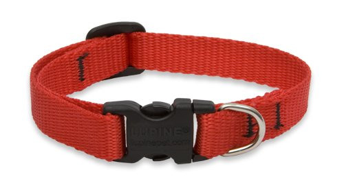 Lupine 10-161/2 Adj Red