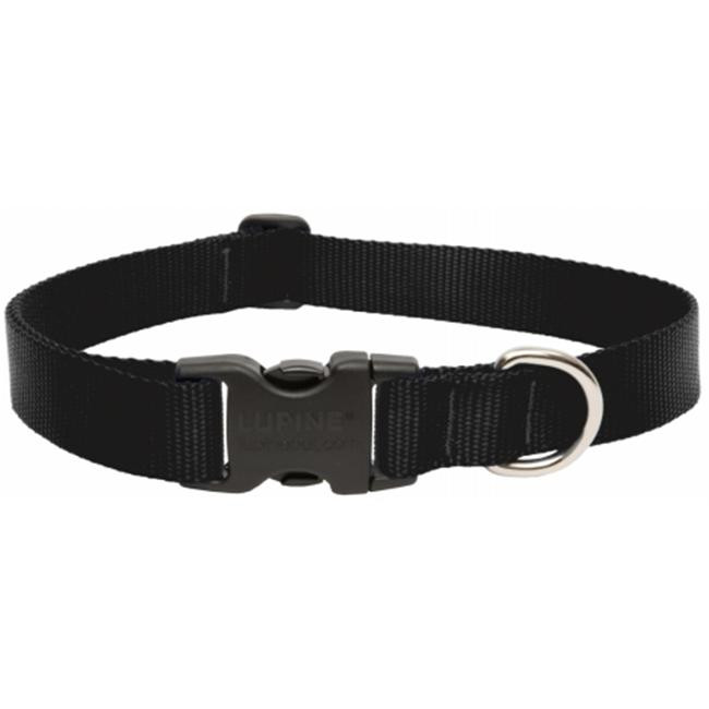 Lupine 1 12-20 Black Collar