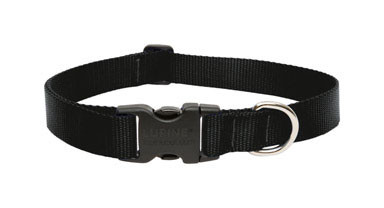 Lupine 1 16-28 Black Collar