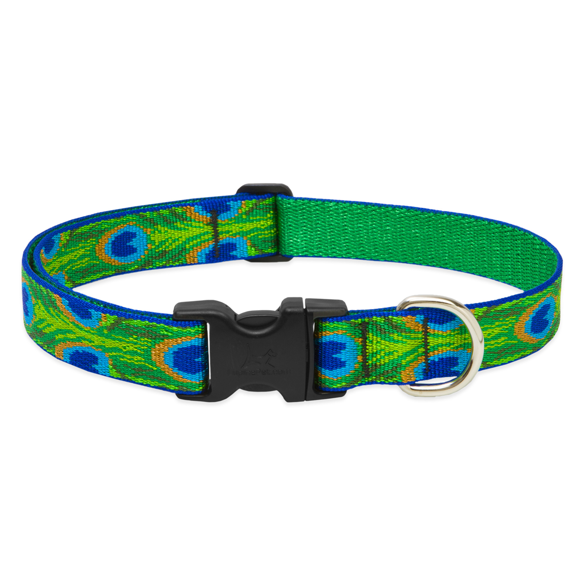 Lupine 12-20 1TailFeathers