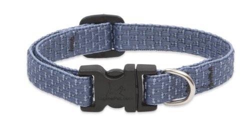 Lupine 8-12 1/2 ECOMtnLake