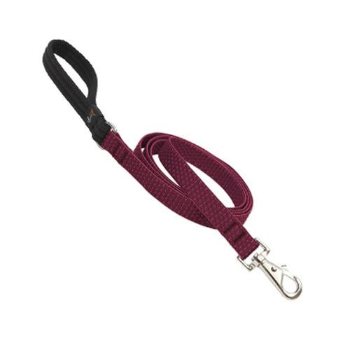 Lupine3/4 6' ECOBerry