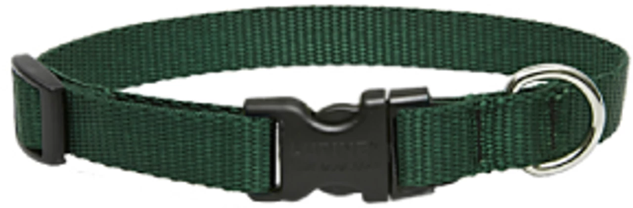 Lupine3/415-25Adj.GreeCollar