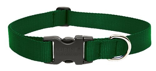 Lupine 1 12-20 Green Collar