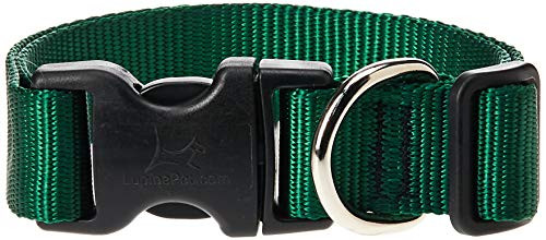 Lupine 1 16-28 Green Collar