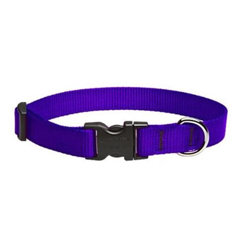 Lupine3/49-14Adj.PurplCollar