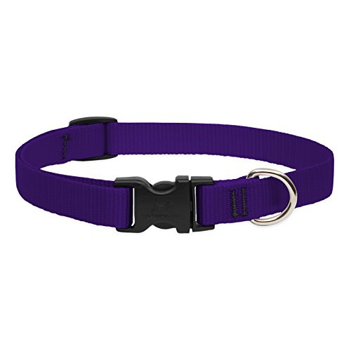 Lupine3/415-25Adj.PurpCollar