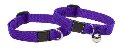 Lupine Cat Safety Purple 8-12