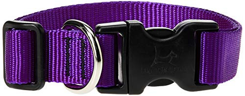 Lupine 1 12-20 Purple Collar