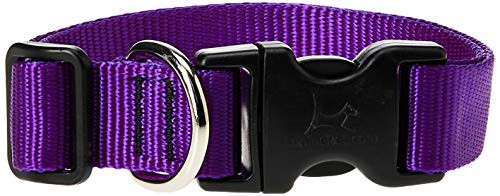 Lupine 1 16-28 Purple Collar