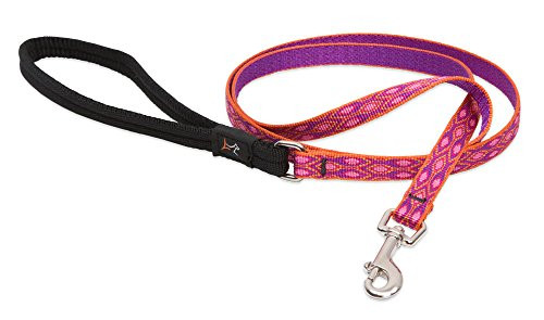 Lupine 4 ft 1/2 Lead AlpenGlo
