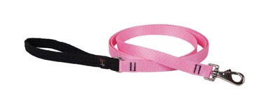 Lupine3/4 6' Pink Lead