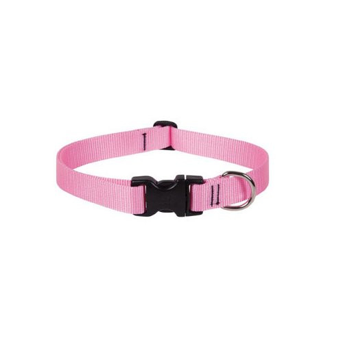 Lupine 1 12-20 Pink Collar