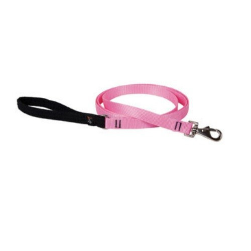 Lupine 1 6' Pink Lead